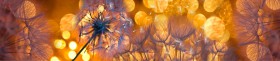 Кухонный фартук Мерцание Одуванчики золотистые 3 серебро в Сосновоборске - sosnovoborsk.katalogmebeli.com | фото